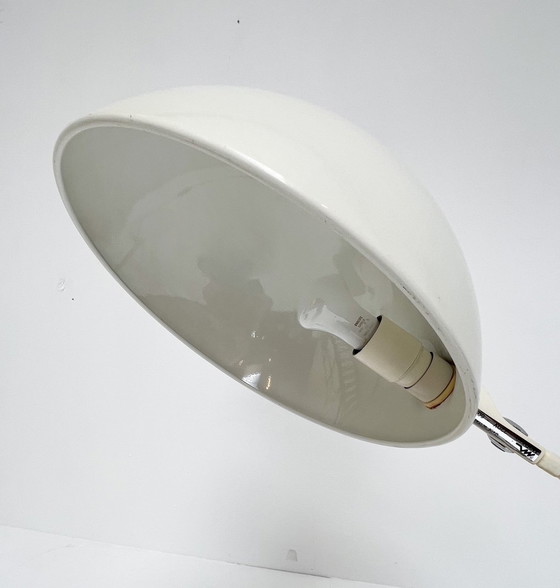 Image 1 of Flex Shell Xl Desk Lamp By Martinelli Luce Model 660