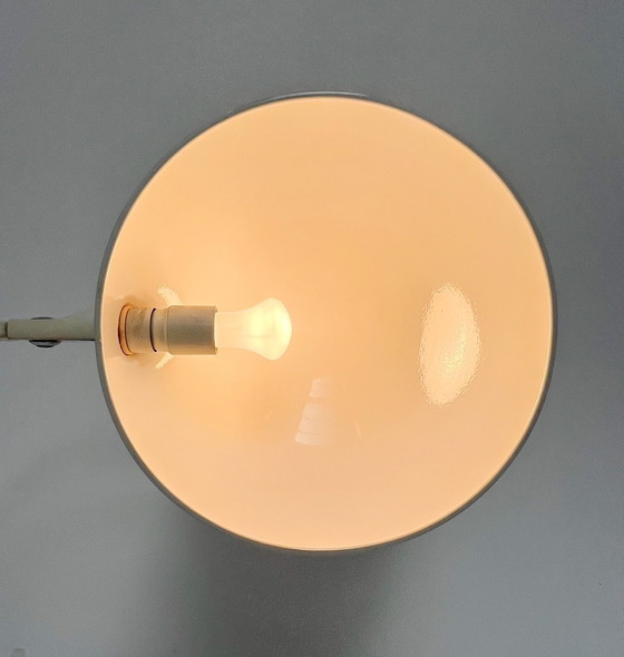 Image 1 of Flex Shell Xl Desk Lamp By Martinelli Luce Model 660