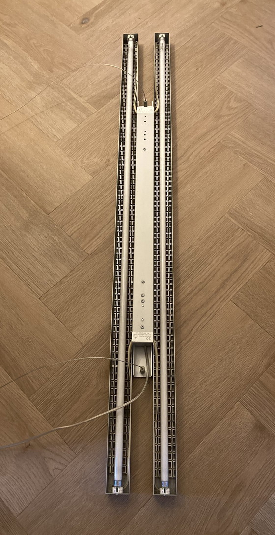 Image 1 of Ayal Rosin 2054