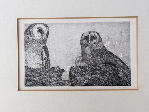 Engraving Of Owls By Reinder Homan 1980