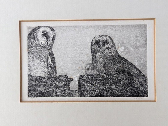 Image 1 of Engraving Of Owls By Reinder Homan 1980