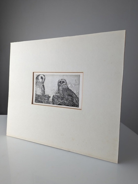 Image 1 of Engraving Of Owls By Reinder Homan 1980