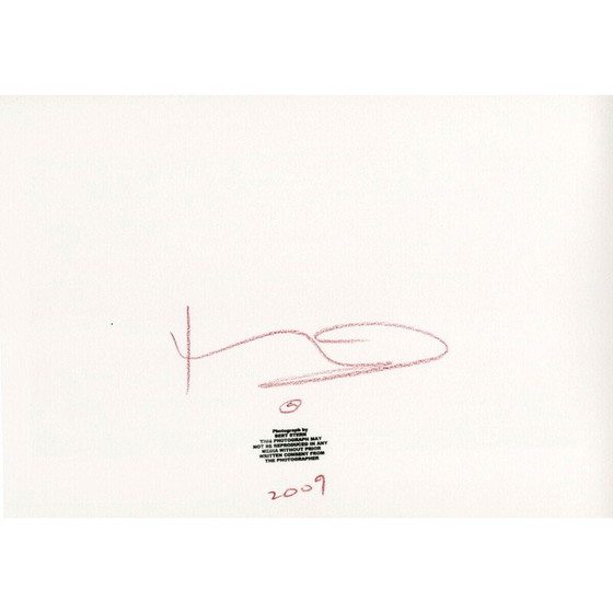 Image 1 of Vintage photograph "Marilyn boob falling out" by Bert Stern, 2009