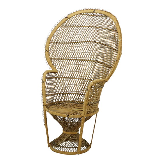 Image 1 of Large Rattan Wicker Peacock Chair