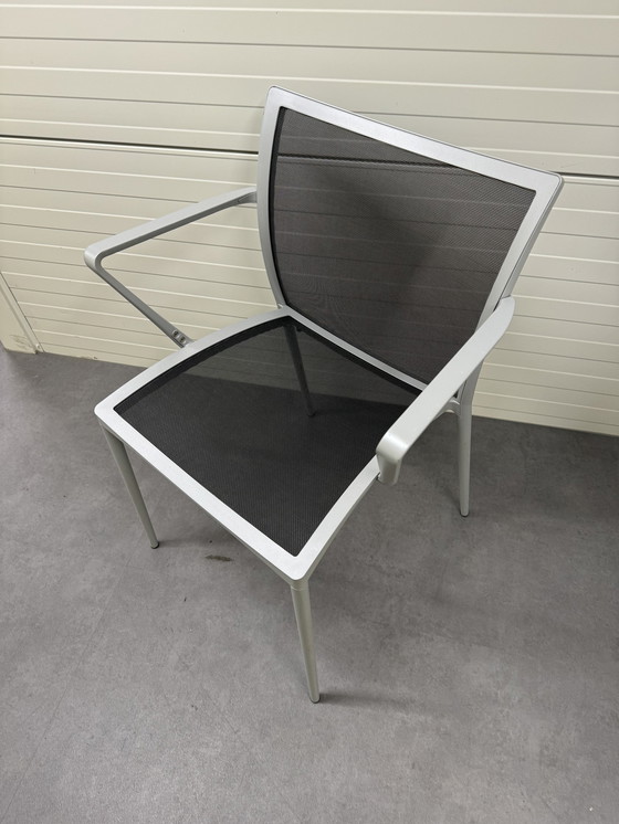 Image 1 of 4X Zanotta Zilli Chair For Indoors And Outdoors