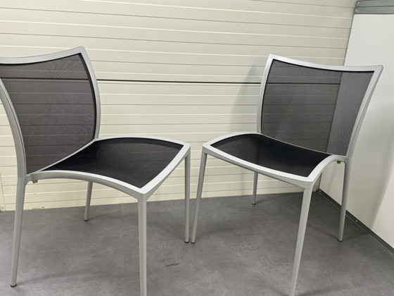 Image 1 of 4X Zanotta Zilli Chair For Indoors And Outdoors