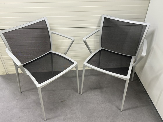 Image 1 of 4X Zanotta Zilli Chair For Indoors And Outdoors