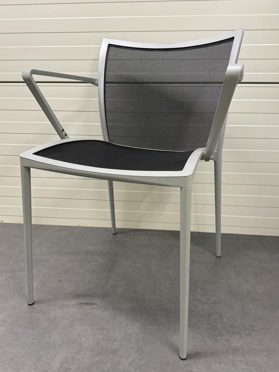 Image 1 of 4X Zanotta Zilli Chair For Indoors And Outdoors