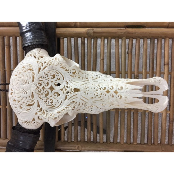 Image 1 of Teschio di bufalo vintage intagliato a mano