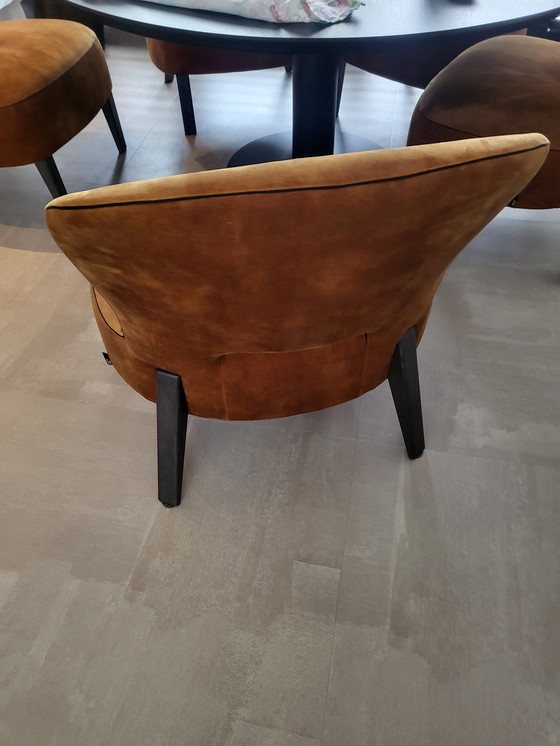 Image 1 of 5x Passe partout Low Dining chairs