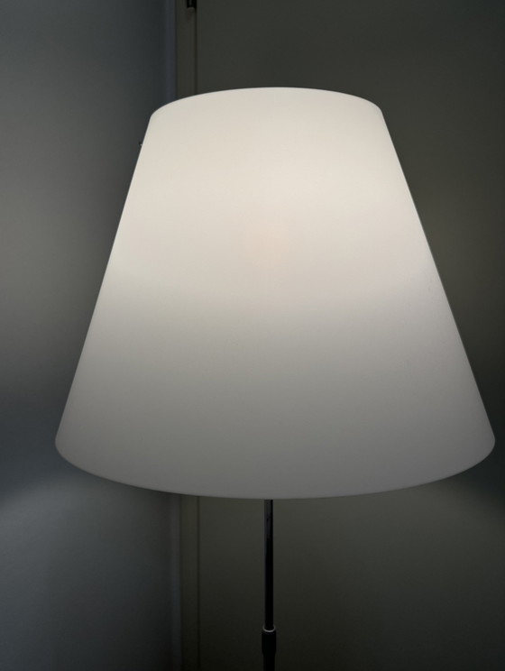 Image 1 of Luce Plan Paulo Rizzatto Floor Lamp