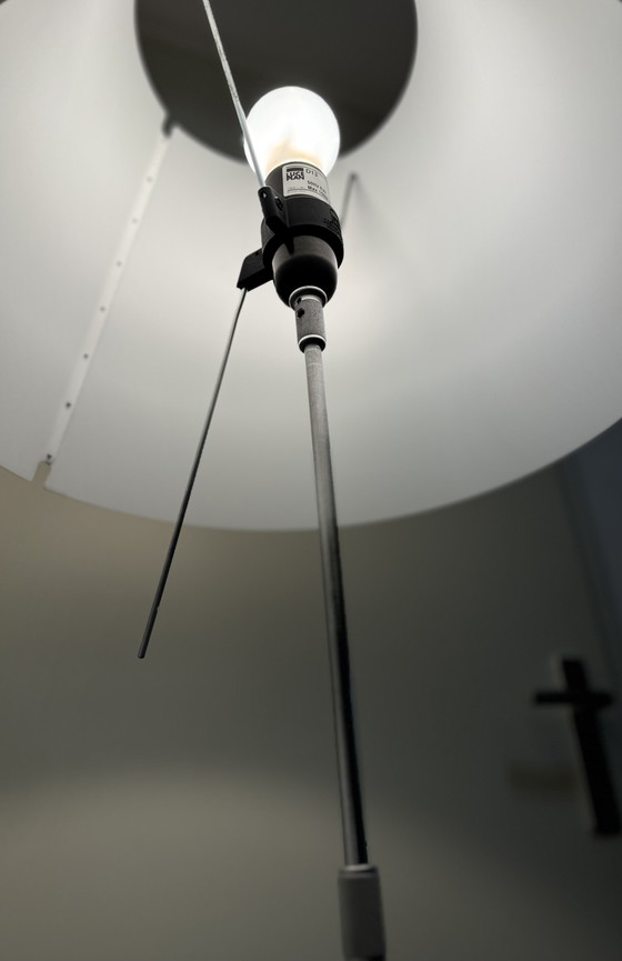 Image 1 of Luce Plan Paulo Rizzatto Floor Lamp