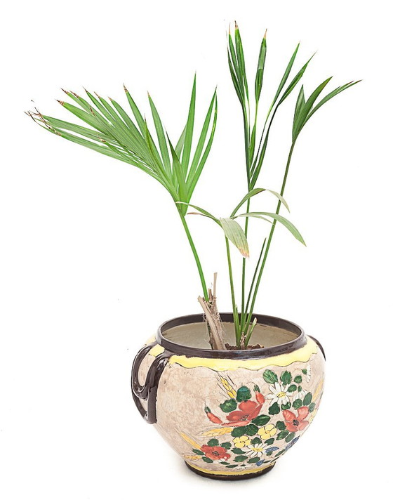 Image 1 of Macetero grande de Jérôme Massier, 1900