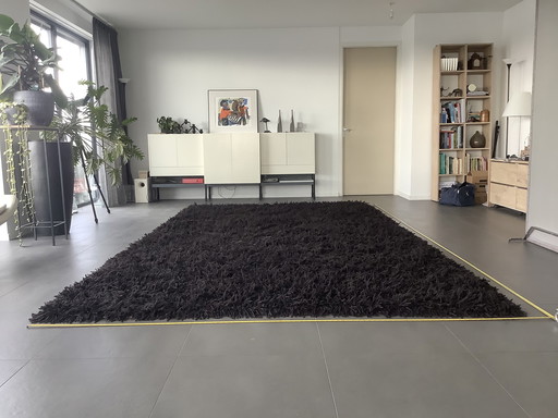 1x Casalis Bufo Carpet