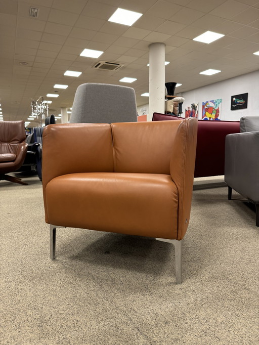 Rolf Benz 392 Armchair brown leather