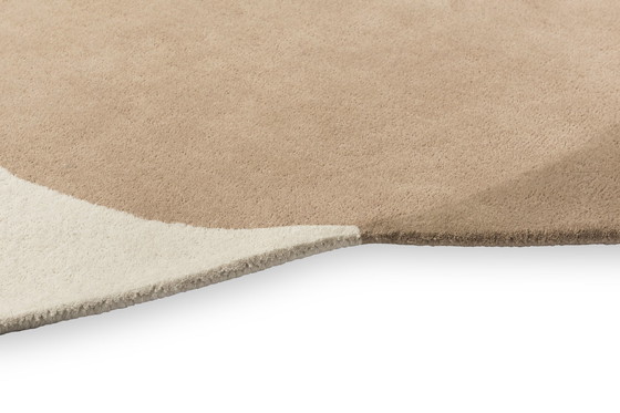 Image 1 of Brink En Campman Element Arp Rug 200X220