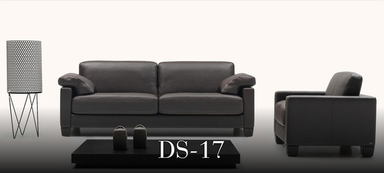 Image 1 of De Sede DS17 / 103 sofa