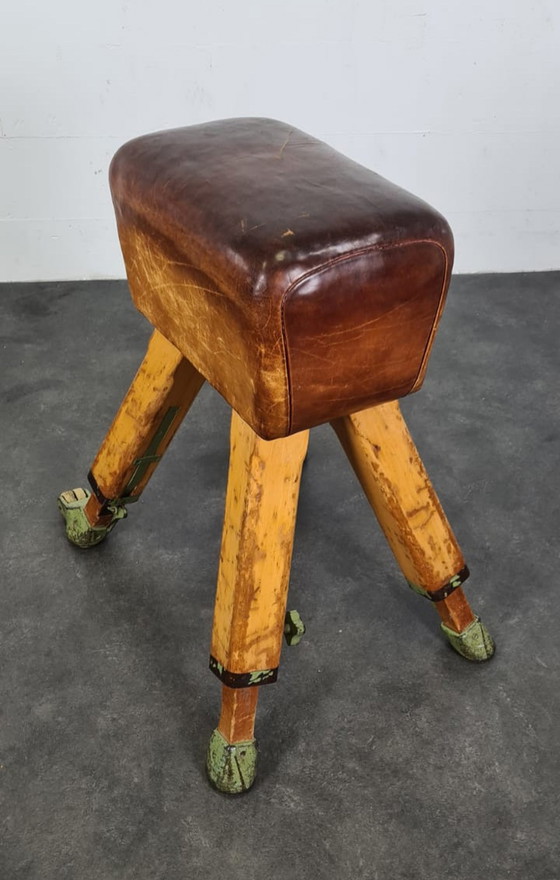 Image 1 of Cervo da ginnastica d'epoca