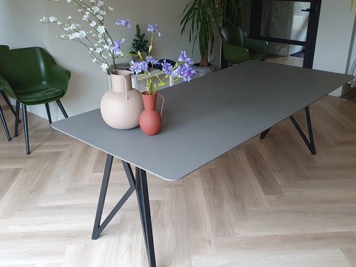 Dining Table Studio Henk Butterfly 220X100