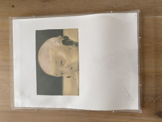 Image 1 of Tuymans - Giscard lithograph 37/100 plexibox