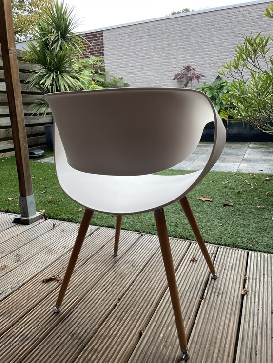 Image 1 of 5x Züco Little Perillo Chair