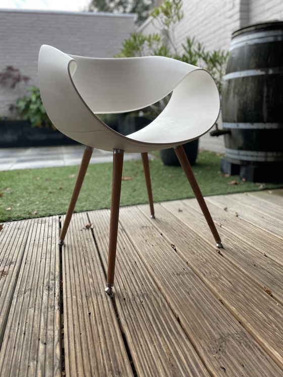 Image 1 of 5x Züco Little Perillo Chair