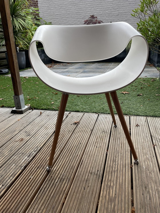 Image 1 of 5x Züco Little Perillo Chair