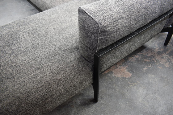 Image 1 of Exclusive Cor Elm Design Sofa - Chaise Lounge