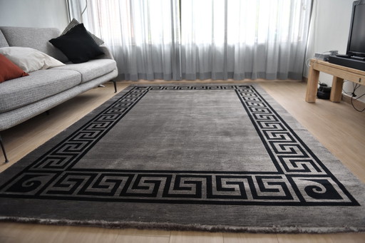 Design Rug Pierre Cardin 200x290