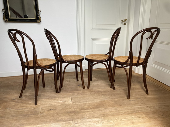 Image 1 of 4x Thonet no. 16 Chair by Romania