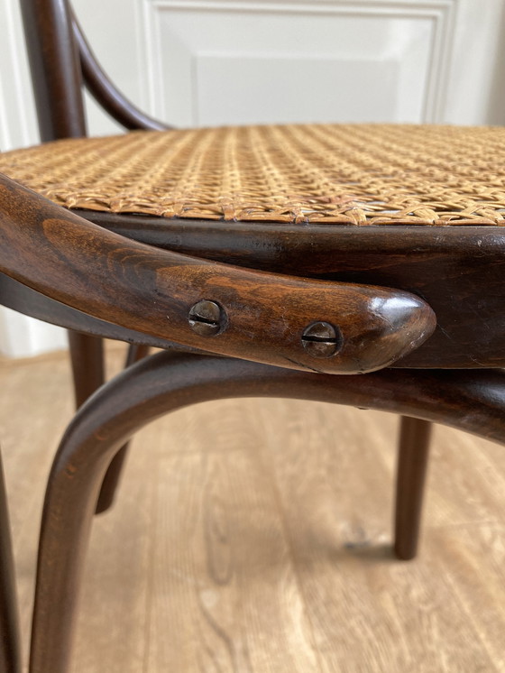 Image 1 of 4x Chaise Thonet no. 16 de Roumanie