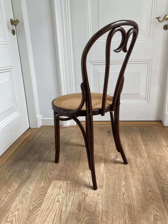 Image 1 of 4x Chaise Thonet no. 16 de Roumanie