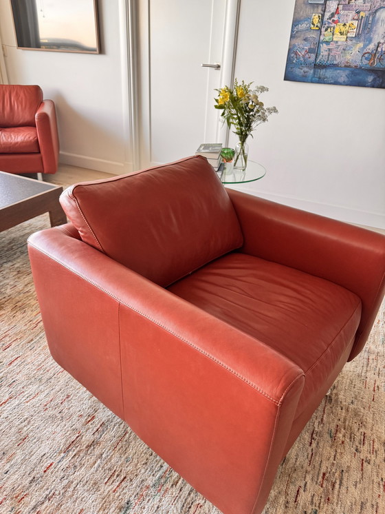 Image 1 of Touché sofa + 2x armchair cognac