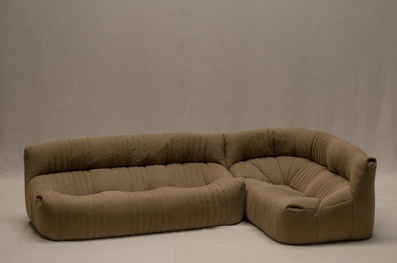 Image 1 of Aralia Corner Set By Michel Ducaroy For Ligne Roset