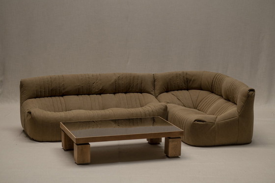 Image 1 of Aralia Corner Set By Michel Ducaroy For Ligne Roset