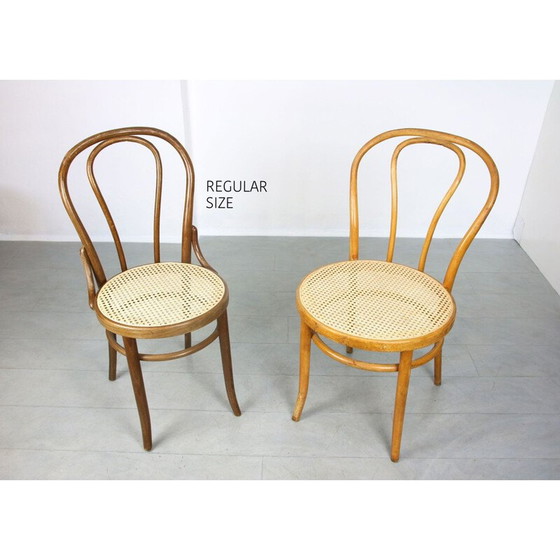 Image 1 of Coppia di sedie vintage n. 18 "Wide" di Michael Thonet