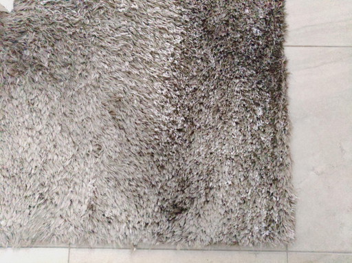 Stepevi rug