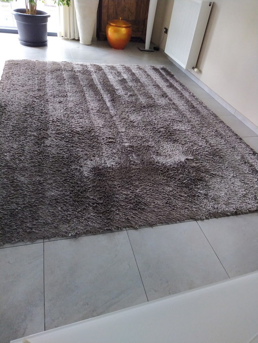 Stepevi rug