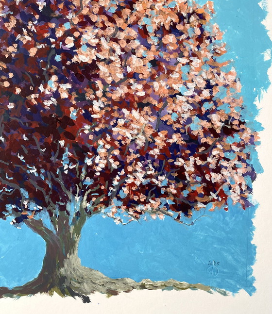 Image 1 of Mia cara Castagna