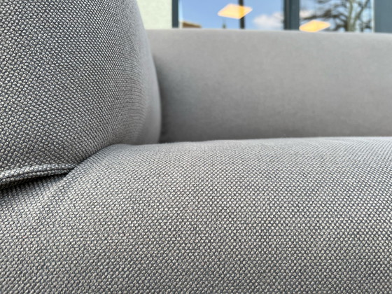 Image 1 of Bert Plantagie Monty Bank