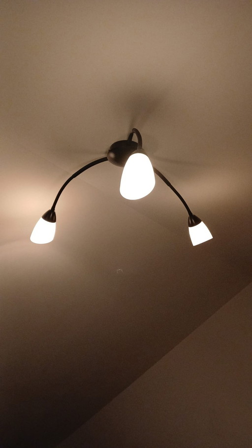 3-Arm Ceiling Lamp Black White Calyces