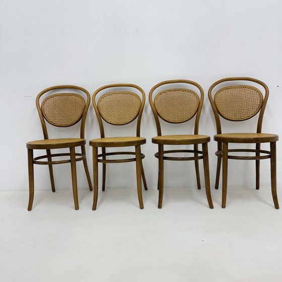 Image 1 of Juego de 4 sillas de comedor/bistró con correaje de madera curvada, década de 1960