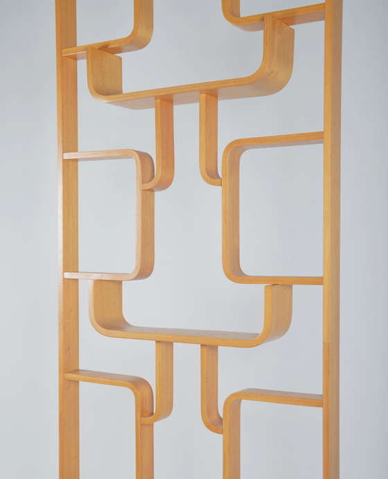 Image 1 of Room Divider Designed By Volak For Drevopodnik Holesov, 1960s