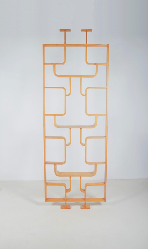 Room Divider Designed By Volak For Drevopodnik Holesov, 1960s