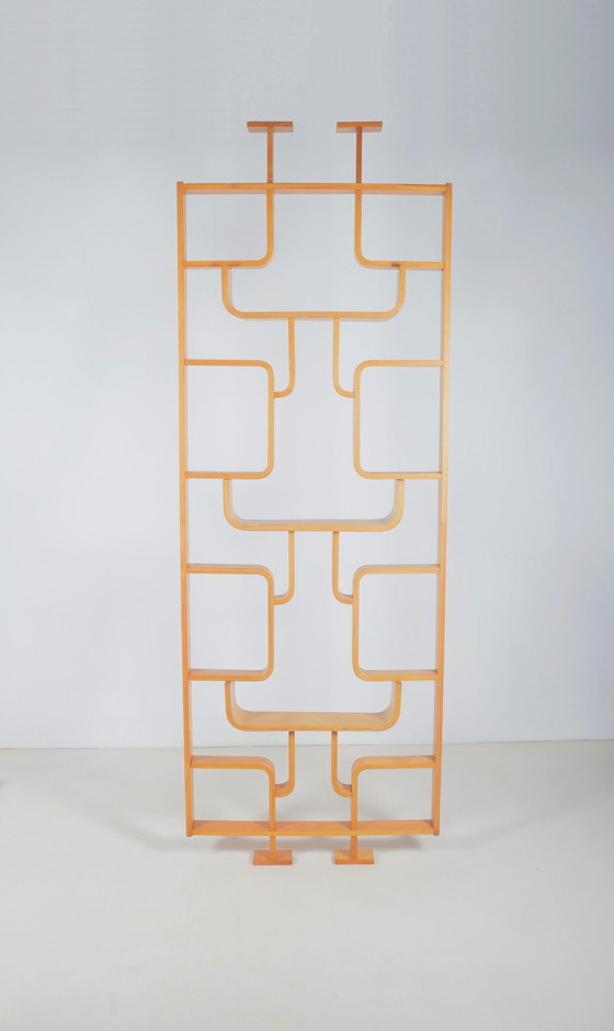 Image 1 of Room Divider Designed By Volak For Drevopodnik Holesov, 1960s