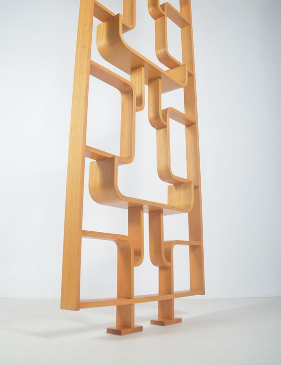 Image 1 of Room Divider Designed By Volak For Drevopodnik Holesov, 1960s