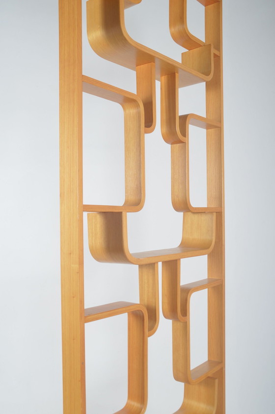 Image 1 of Room Divider Designed By Volak For Drevopodnik Holesov, 1960s