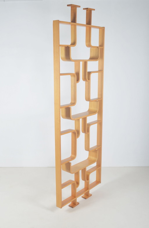 Room Divider Designed By Volak For Drevopodnik Holesov, 1960s