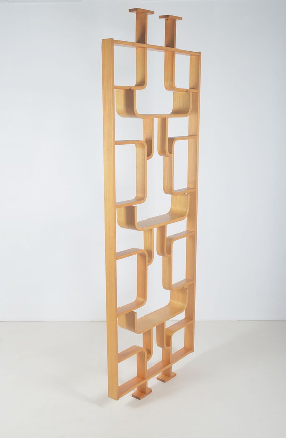 Image 1 of Room Divider Designed By Volak For Drevopodnik Holesov, 1960s