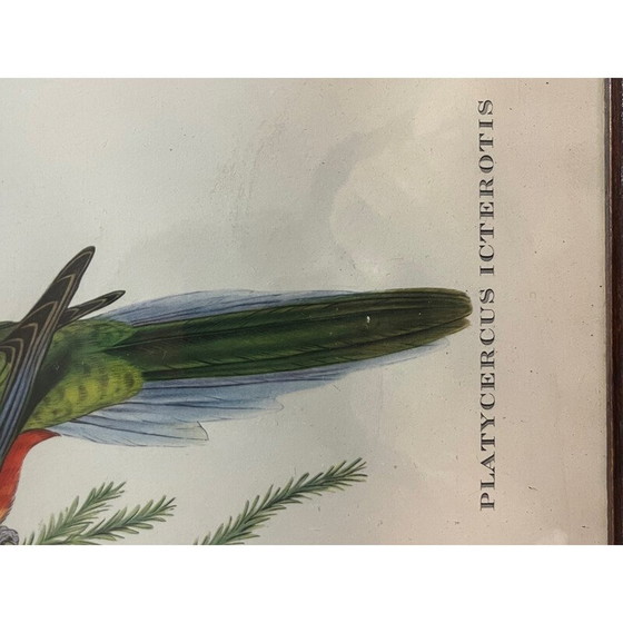 Image 1 of Litografía antigua de Gould y Richter